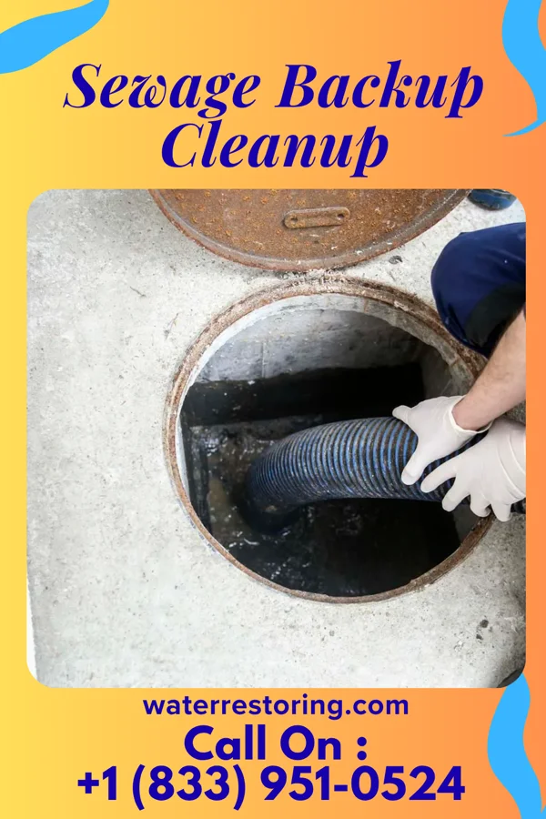 Sewage Backup Cleanup in Fordyce, NE